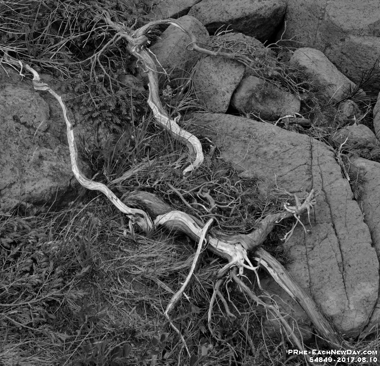 54849CrBwLe - Along the Tablelands Trail - Gros Morne National Park